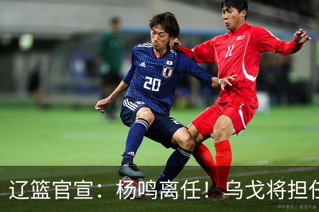 辽篮官宣：杨鸣离任！乌戈将担任辽宁男篮主帅